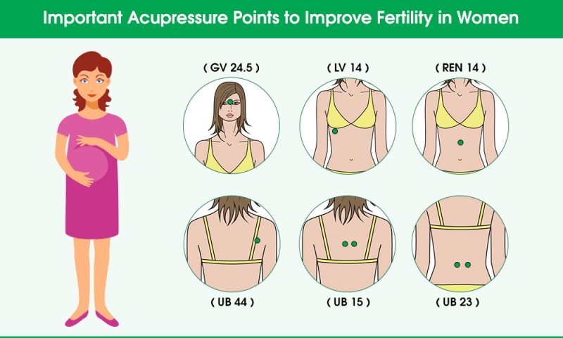 Acupressure Points To Improve Fertility In Women Modern Reflexology 7588