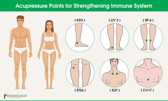 Top 7 Acupressure Points for Strengthening Immune System