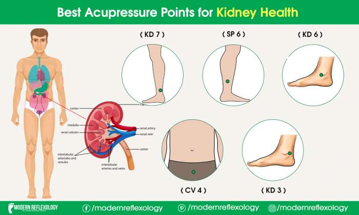 Best Acupressure Points for Kidney Health