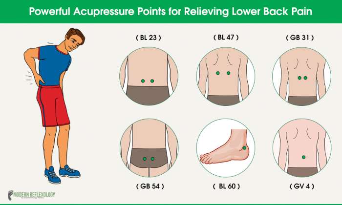 Effective Acupressure Points To Relieve Lower Back Pain Modern