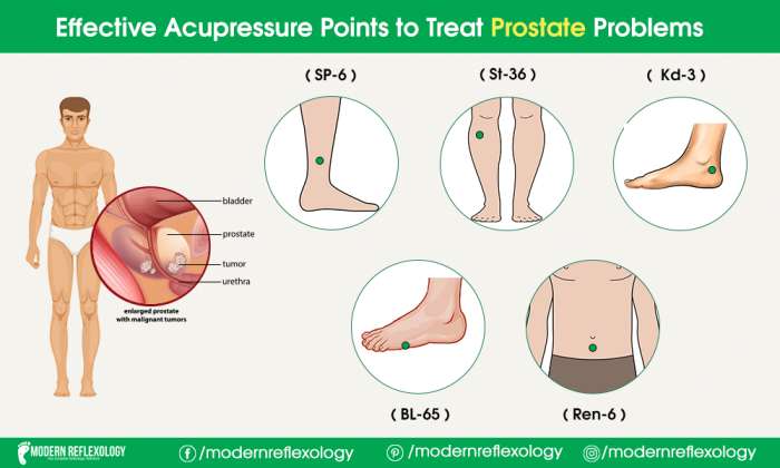 Best Acupressure Points Help To Treat Prostate Problems Modern Reflexology 