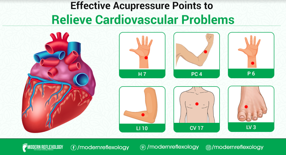 Best Acupressure Points to Relieve Cardiovascular Problems - Modern ...