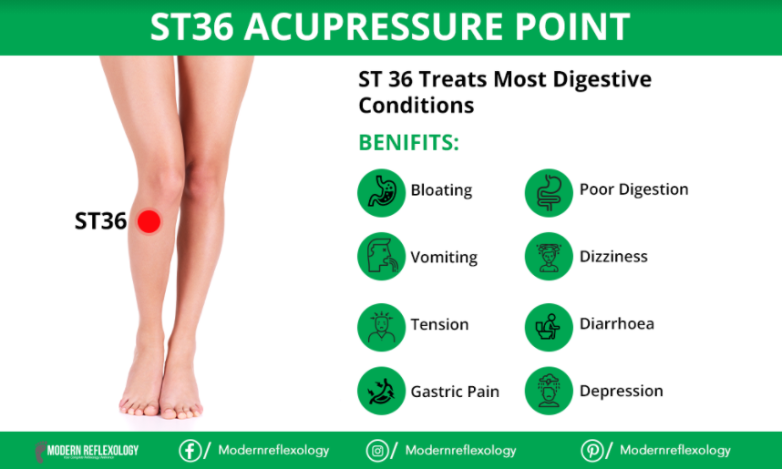 ST36 Acupressure Point Treat All Digestive Problems - Modern Reflexology